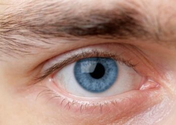 My Long Journey to Rothbardian Sobriety