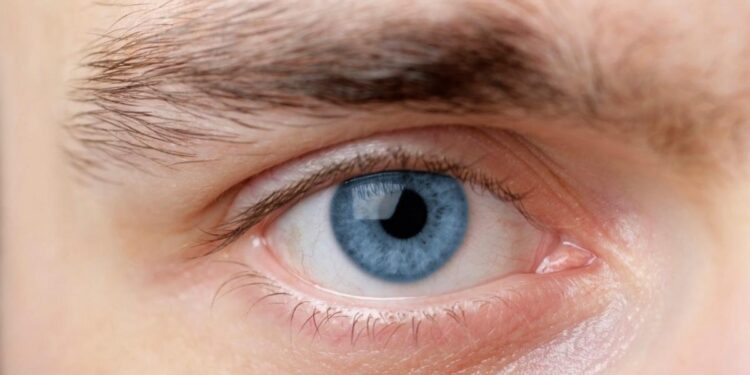 My Long Journey to Rothbardian Sobriety