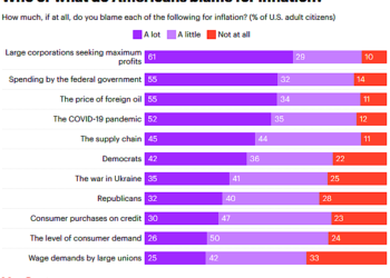 A New, Depressing Survey on Inflation