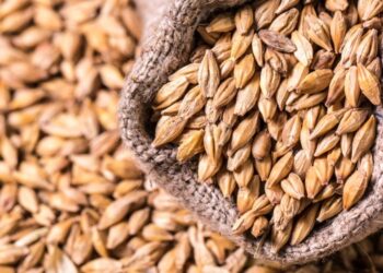 Progressives Have Corrupted Not Only Money, but Its History as Well