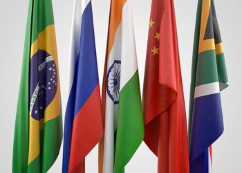 The BRICS Currency Project Picks Up Speed