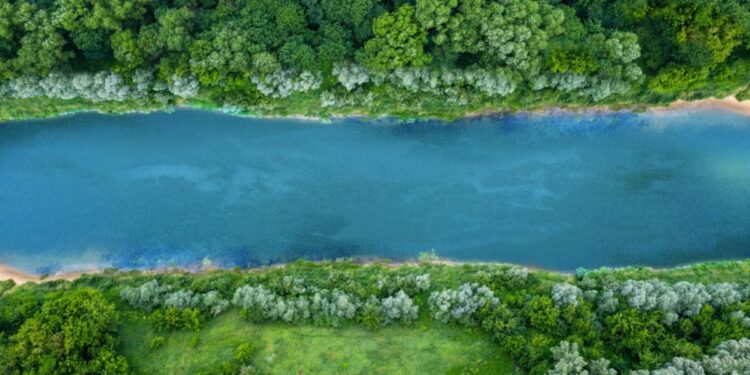 States Can Curb Federal Power through “Soft Secession”