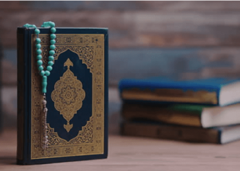 Should Muslims Really Welcome Denmark’s Proposed Anti-Blasphemy Law?