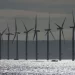 No bids for offshore wind in government auction dealing critical blow to UK strategy
