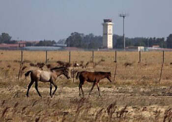 California Forever Project Must Overcome Land-Use Restrictions