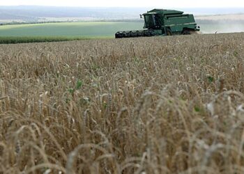 Congress Should Cut ‘Farm Welfare’ — That Is, Farm Subsidies