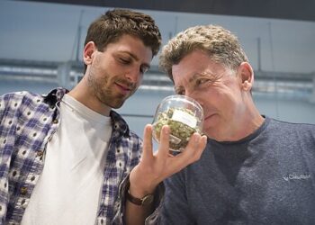 Will Oregonians Strangle Drug Decriminalization Right After Its Birth?