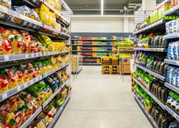 Public Goods Viewed through Entrepreneurship