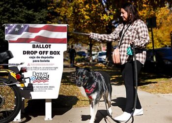Don’t Blame Ballot Harvesting Scandals On Drop Boxes