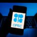 What Does OPEC Do and Should We Care?
