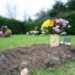 Three Things You Ought to Know about Direct Burials