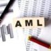 AML Check Service Providers: Choosing Wisely for Compliance