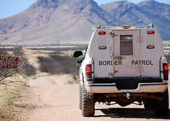 Data Show Trump Would’ve Released as Many Border Crossers as Biden