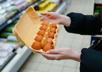 More State Lawmakers Propose To Regulate Farm Practices in Other States