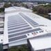Number of businesses ‘going green’ doubles in 2023