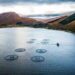 Scottish salmon is named UK’s top food export for 2023