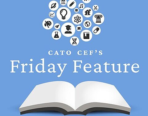 Friday Feature: CREATE Conservatory