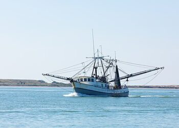 State Officials Can’t Appoint Federal Officers in Gulf Coast Fishing Case