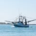 State Officials Can’t Appoint Federal Officers in Gulf Coast Fishing Case