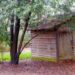 Your Dream Shed: An UK Insider’s Guide to Choosing, Disposing, and Building
