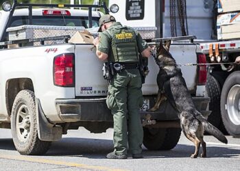 Annual Chance of Being Murdered by a Foreign-Born Terrorist in an Attack Was 1 in 4.5 Million from 1975-2023