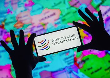 The World Trade Organization at Thirty