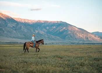 Will Big Sky Country Redefine Climate Policy?