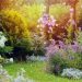 4 Smart Ways to Improve Your Garden in South Devon