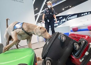 The Xylazine Scourge Widens