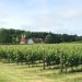 UK Sparkling Wine Gains Global Recognition Amid Industry Boom