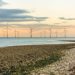 Ed Miliband launches state-backed offshore wind initiative
