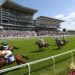 Horse Racing and Care – How Big Is the UK Market?