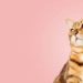 How easy and affordable it is to get a custom watercolour cat portrait online