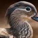 A Deep Dive Into Their Role and Adaptation Uses of Bird Beaks
