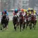 The Rise of Sports Betting: Market Trends and Business Opportunities