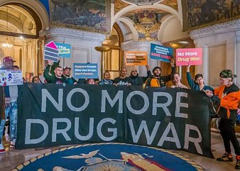 Has the Overdose Death Rate Peaked? Insights from an Arizona Harm Reduction Organization