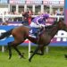 Thoroughbred Horses in the UK Becoming a Globally Renowned Business