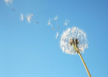 House Budget Pairs Wishful Thinking with Modest Spending Restraints