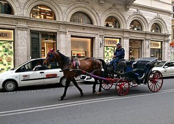 Does New Technology Cause Unemployment?