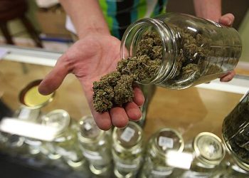 One Step Forward? The Trump Administration Considers Rescheduling Marijuana