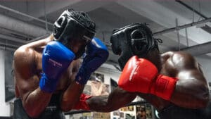 Why Hayabusa Grappling Shorts Are Every Fighter’s Go-To Gear