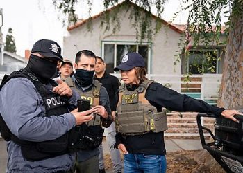 What Is Renee Good’s Story?